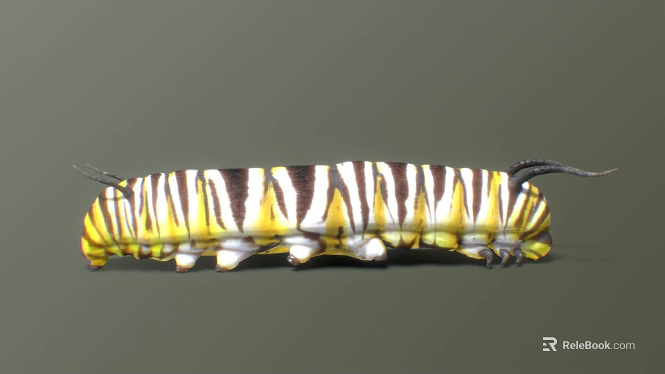 Vibrant Yellow Black And White Striped Caterpillar With Black Tail Structures 3d model