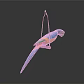 parrot xuanfeng parrot budgerigar monk parrot little sun parrot peony parrot senegal parrot 3d model