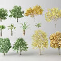 Various Arbor Tree Collection Featuring Green Yellow and Golden Foliage Types