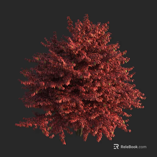 Vibrant Red Leaf Tree With Lush Foliage Against Dark Background 3d model 