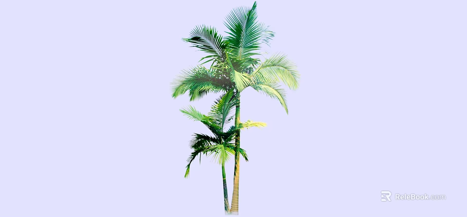 Tall Palm Tree With Lush Green Fronds And Straight Trunk In Landscape 3d model 