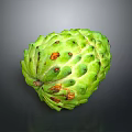 Fresh Green Sugar Apple Tropical Fruit With Textured Skin And Orange Spots