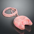 Pink Computer Desk Accessory With Soft Texture And Coiled Cord For Comfortable Setup