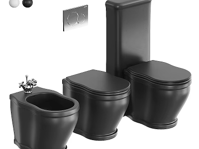 Black Toilet and Bidet Set with Modern Designs Flush Buttons and Control Switches 3d model
