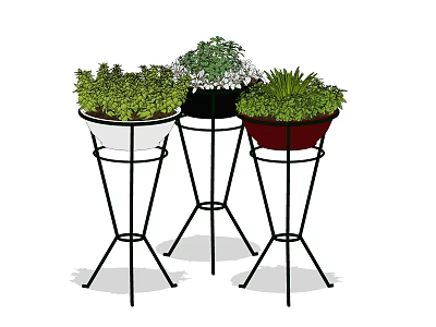 Bonsai Potted Plants with White Black Red Pots on Metal Stands and Lush Green Foliage 3d model