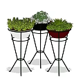 Bonsai Potted Plants with White Black Red Pots on Metal Stands and Lush Green Foliage