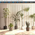 Various Types of Indoor Potted Plants in Decorative Planters on Wooden Floor with Window Background