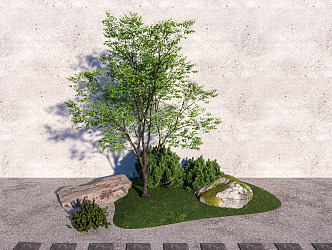 Modern Tree Plant Stone Landscape Stone Hillside 3d model