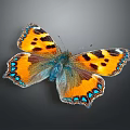 Modern Butterfly Colored Butterfly Tabby Butterfly Leaf Butterfly 3d model