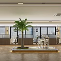 Modern Cafe Interior With Palm Tree Large Windows Booth Seating And Herringbone Flooring