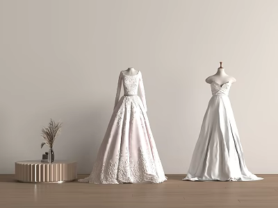 Elegant Wedding Dresses Long Sleeve Lace And Strapless Satin With Minimalist White Wall Wooden Floor 3d model