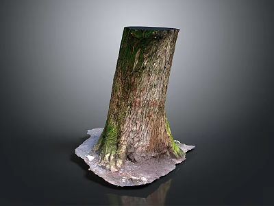 Natural Wooden Tree Stump With Rough Bark Texture And Stone Base Details 3d model