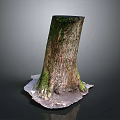 Natural Wooden Tree Stump With Rough Bark Texture And Stone Base Details 3d model