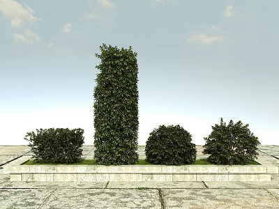 Tall Columnar Shrub With Round Shrubs In Stone Planter Under Clear Sky 3d model