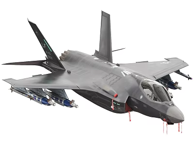 Modern Military Gray Stealth Fighter Jet With Loaded Missiles Cockpit 3d model