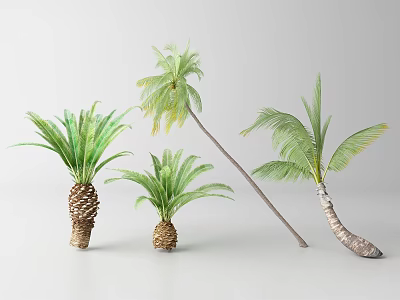 Various Palm Trees Displaying Green Fronds And Diverse Trunk Forms In Natural Arrangement 3d model