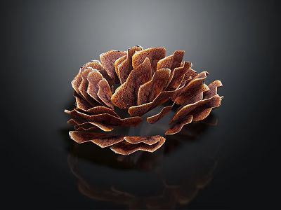 Shiny Brown Hedgehog Resembling Pine Cone With Scales On Black Background 3d model