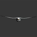 White Seagull With Spreading Wings Black Wing Tips And Yellow Beak In Flight