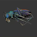 Vibrant Colorful Beetle Displaying Blue Orange Green Iridescent Shell against Dark Background