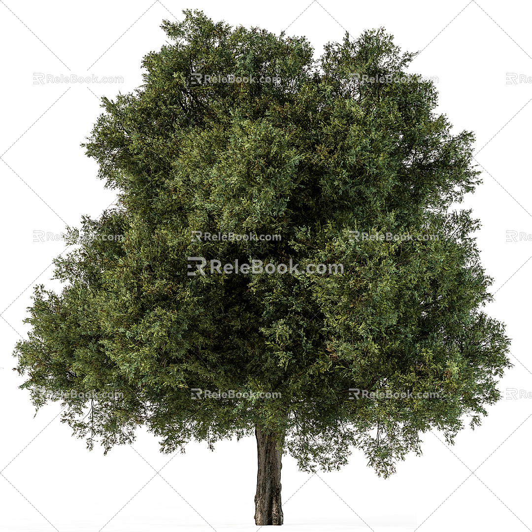 Modern Tree Trees Landscape Trees 3d model