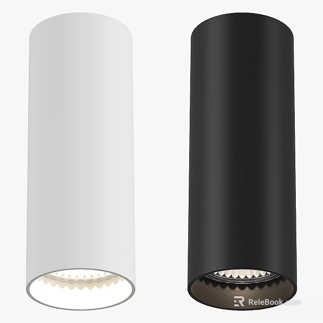 Modern Ceiling Lights in White and Black Cylinder Design with Stylish Look 3d model 