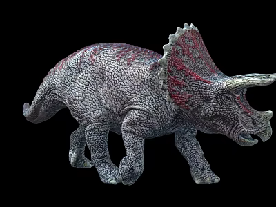 Vibrant Triceratops Dinosaur Model Featuring Detailed Skin And Red Frill 3d model