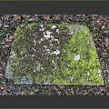 Natural Stone And Wood Pedestal With Moss Covered Surface And Colorful Fallen Leaves
