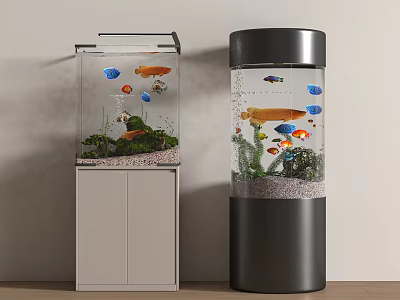 Two Rectangular And Cylindrical Aquariums With Colorful Fish Aquatic Plants And Stands 3d model