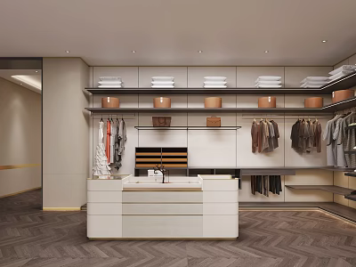 Modern Walk In Closet With Built In Shelves Hanging Clothes And Drawers 3d model