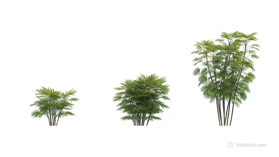 Three Different Sizes of Arbor Trees with Lush Green Foliage in White Background 3d model 