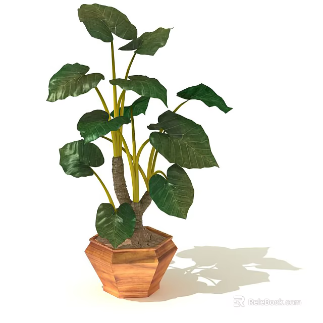 Large Leaf Tropical Plant With Green Foliage In Wooden Hexagonal Pot 3d model 