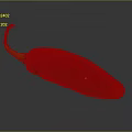 Fresh Red Chili Pepper With Green Stem And Shiny Smooth Surface 3d model