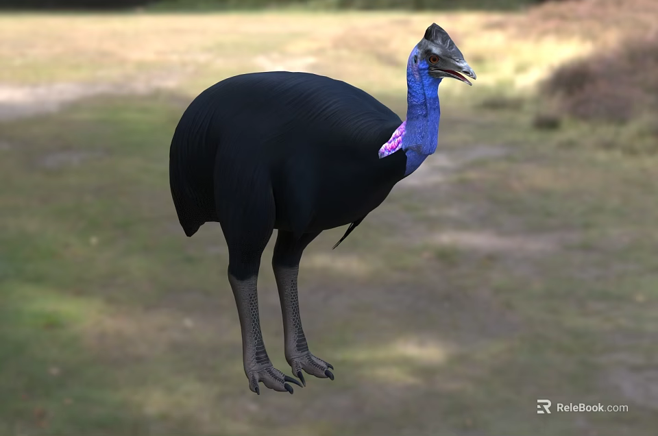 Flying Animal With Black Feathers Blue Neck And Pink Throat Standing On Grassland 3d model 