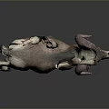Ram With Large Curved Horns And Brown White Fur Walking On Grey Background