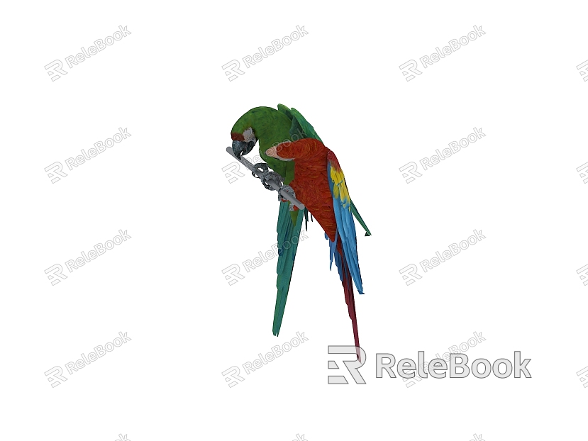 Modern Parrot Animals model