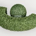 Well Trimmed Green Shrubs Forming Rounded Sphere And Crescent Shaped Hedge Design