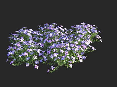 Vibrant Small Flowers Arrangement With Purple White Blooms And Green Foliage 3d model