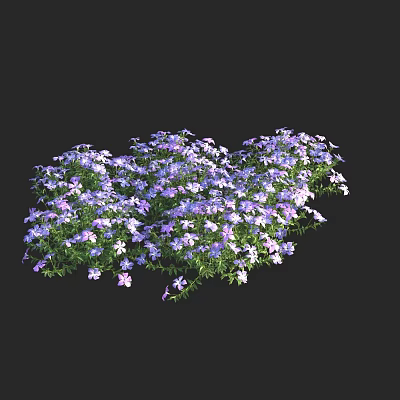 Vibrant Small Flowers Arrangement With Purple White Blooms And Green Foliage 3d model