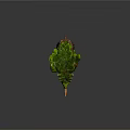 Mythical Game Creature Character With Green Moss Covered Head Orange Mane And Rock Textured Body