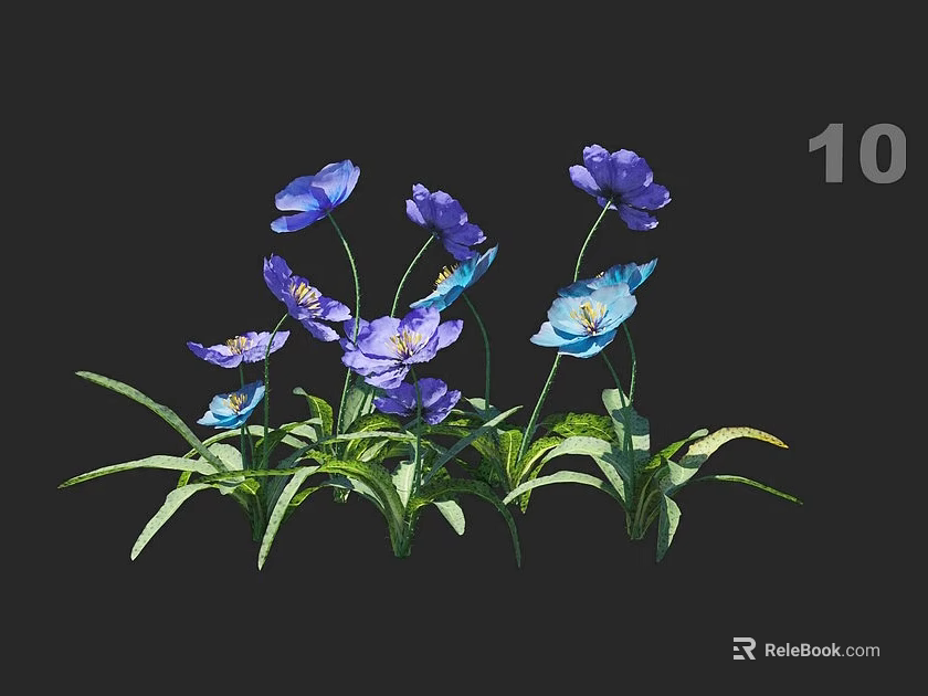 Ten Blue And Purple Poppies With Green Leaves In Full Bloom 3d model 
