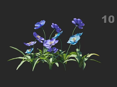 Ten Blue And Purple Poppies With Green Leaves In Full Bloom 3d model