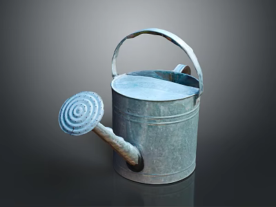 Galvanized Watering Can Sturdy Metal Garden Tool with Spiral Spout and Curved Handle 3d model