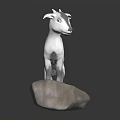 White Goat 3D Model Standing On Rock With Detailed Digital Rendering 3d model