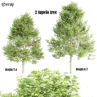 Modern gardening sketch tupelo tree 3d model