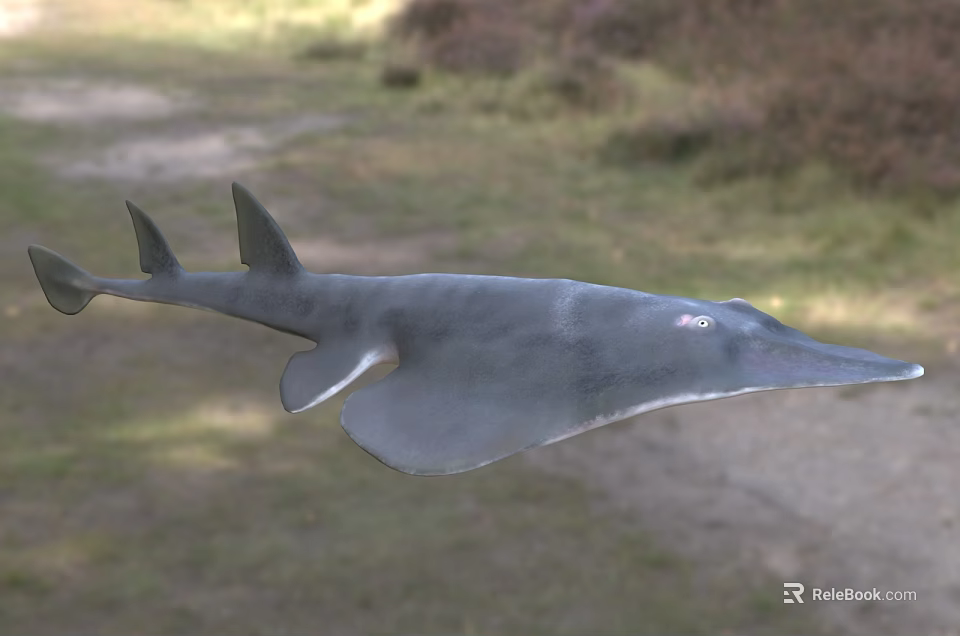 Sawfish Aquatic Animal With Flat Body And Long Saw Like Snout In Ocean Water 3d model 