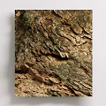 Natural Rock Texture Wall with Rough Surface Brown Green Tones and Organic Decorative Patterns 3d model
