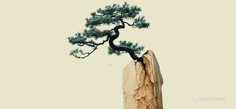 Pine Tree With Twisted Trunk And Green Needles Growing On Cracked Stone 3d model