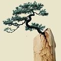 Pine Tree With Twisted Trunk And Green Needles Growing On Cracked Stone 3d model