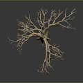 Wooden Stone Tree Sculpture With Intricate Branches Roots And Detailed Gray Background