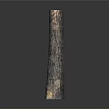 Tall Textured Plant Trunk With Natural Wood Grain On Dark Background
